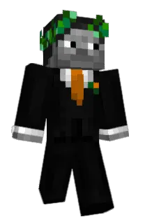 Front of Minecraft skin