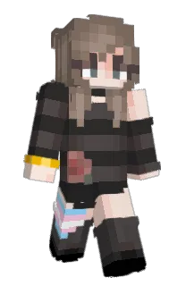 Front of Trip_it's skin