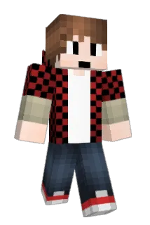 e044036 Minecraft avatar full body