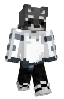 Front of DroppingQ's skin