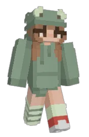 Skin preview