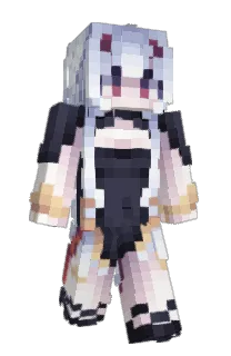 Front of TxSen's skin