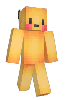 Front of Spider's skin