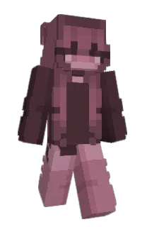 Front of 143_N's skin