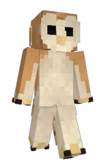 Front of Minecraft skin