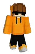 salmonmc