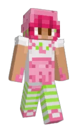 Classic Minecraft skin