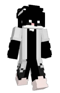 Front of 246x's skin