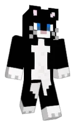 Minecraft skin — Classic model