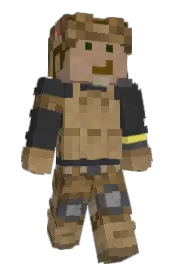 Skin preview