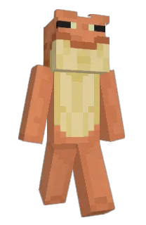 Front of ampcord's skin