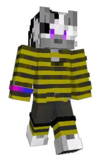 Front of waffelkins's skin