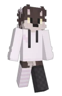 Kitt_Katto's Minecraft skin