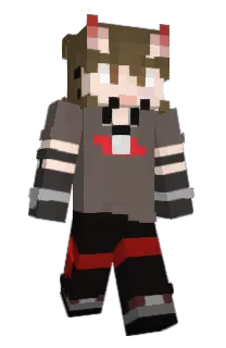 Front of ashvinities's skin