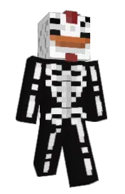 Skin preview
