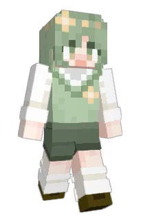 gfsgj's Minecraft skin