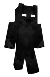 Front of Csatelites's skin