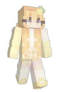 williamv419's Minecraft skin