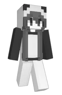 Front of eswi's skin