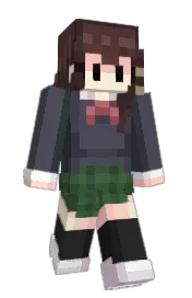 Skin preview