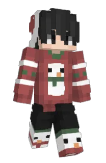 Front of Vison19's skin