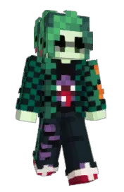 Skin preview