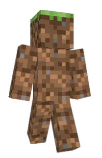 Front of ProSimp's skin
