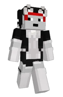 Front of ResistanceV's skin