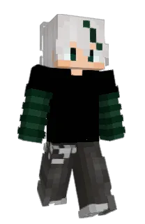 Front of blockyter's skin