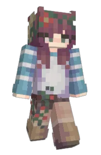 Front of Kroomie's skin