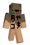 minikotti