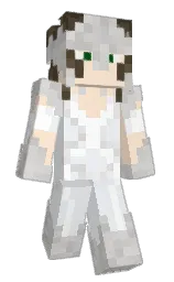 Slim Minecraft skin