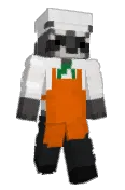 shaarkfinn