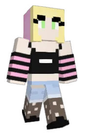 Skin preview