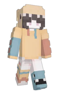 Front of FChip's skin