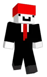 Minecraft skin — Classic model