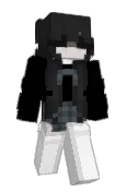 fvsa