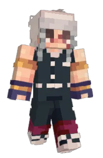 Front of lipaum's skin