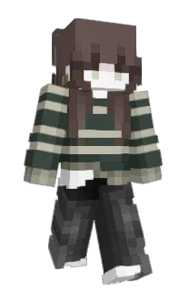 Front of Plo7y's skin
