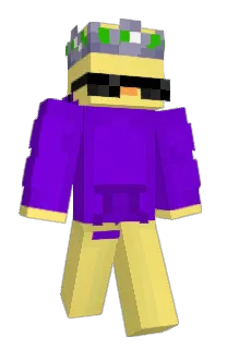 PurplexedDucklin's Minecraft skin