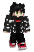Z1MC