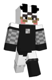 Front of V33rm1n's skin