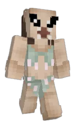 Classic Minecraft skin