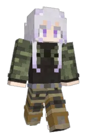 Skin preview