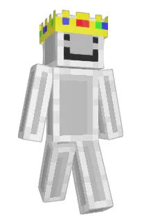 Front of LPMMP's skin