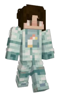 Front of Fixxitt's skin
