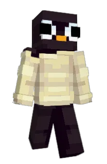 Front of EastPenguin8544's skin