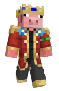 Front of Pcerdin's skin