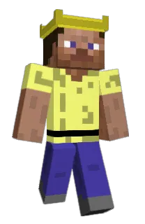 Front of 33pei's skin