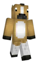 Minecraft skin — Classic model